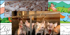 Petice proti klamavé reklamě v oblasti živočišných výrobků