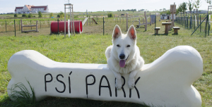 Petice za vybudování hřiště pro psy ve městě Varnsdorf
